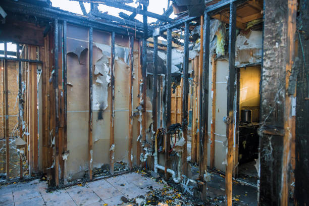 Professional Fire Damage Removal technician working in Belle Plaine, MN
